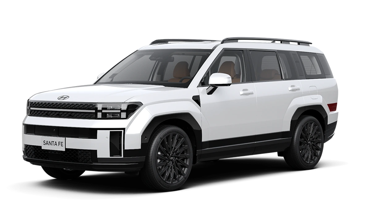 Hyundai Santafe Bạc Liêu